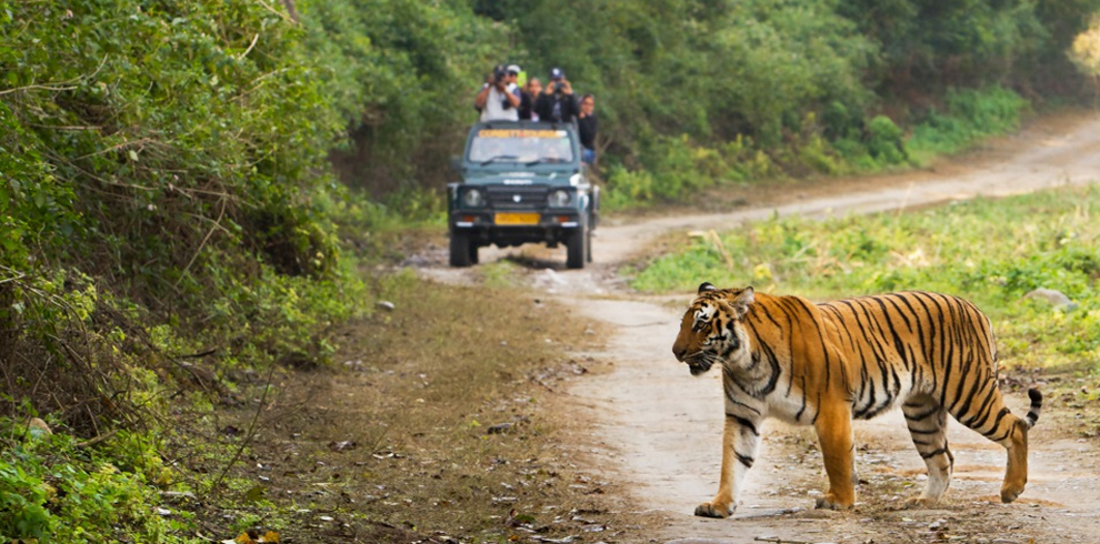 JIM CORBETT 3