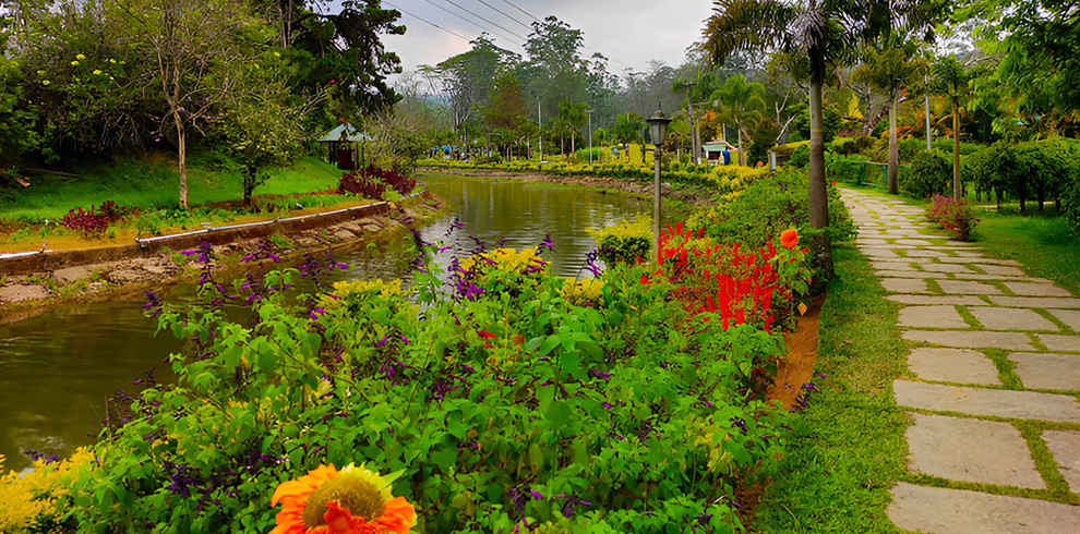 Blossom Gardens