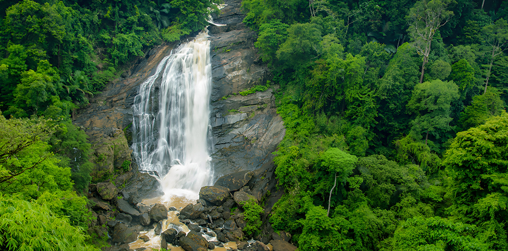 Cheeyappara Waterfall 5