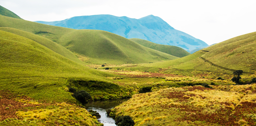 Eravikulam National Park 5