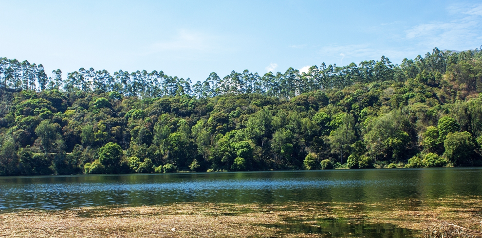 Mattupetty Dam 7