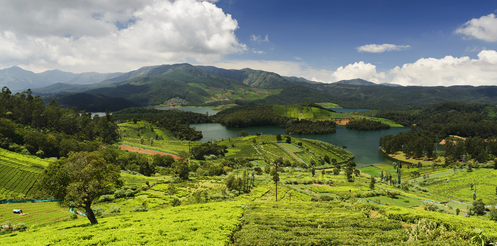 Nilgiri mountains 1