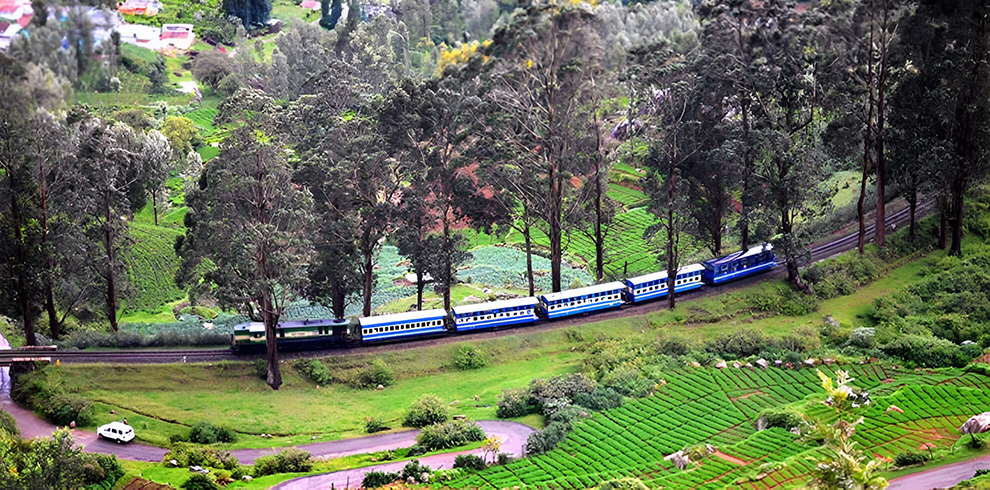 Ooty 5