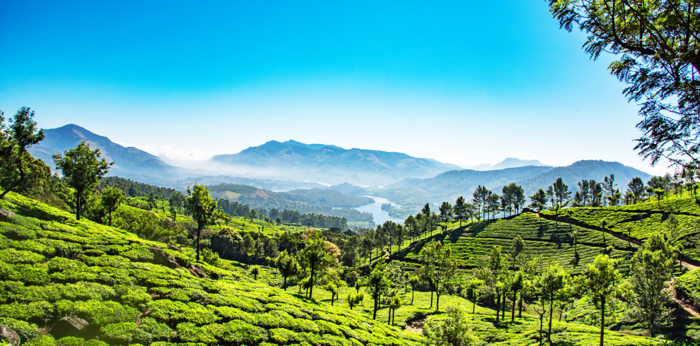 munnar 7