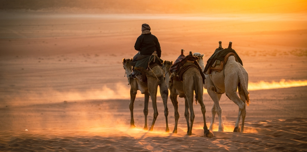 camel riding